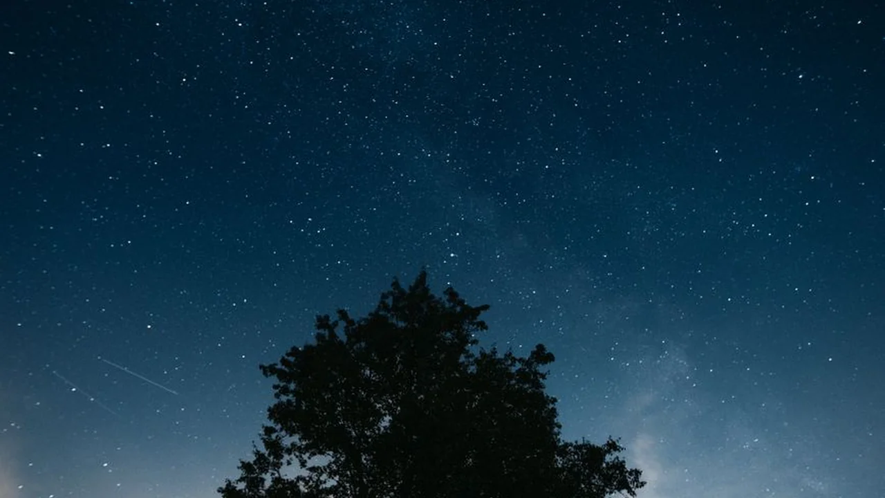 17·c19起草视频的最新进展截图2